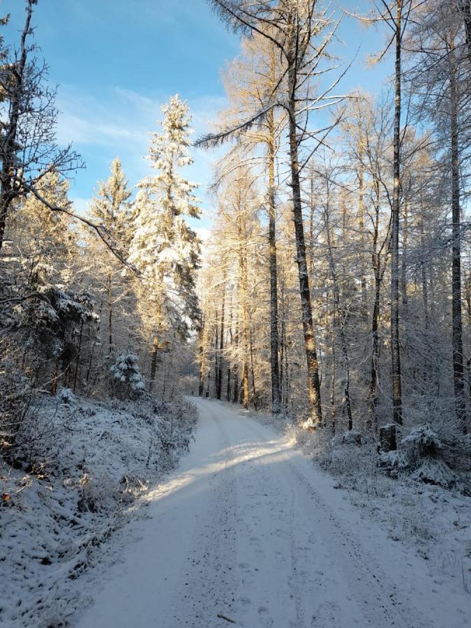 Fraenkische Linie - Radspitz-Ferienwohnungen Marktrodach Dış mekan fotoğraf